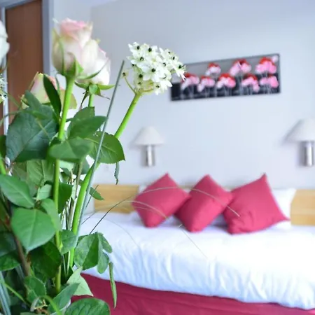 Dax Hotel 3* Dax